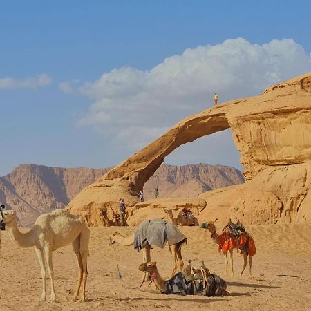 Wadi Rum Desert Camp Zewnętrze zdjęcie