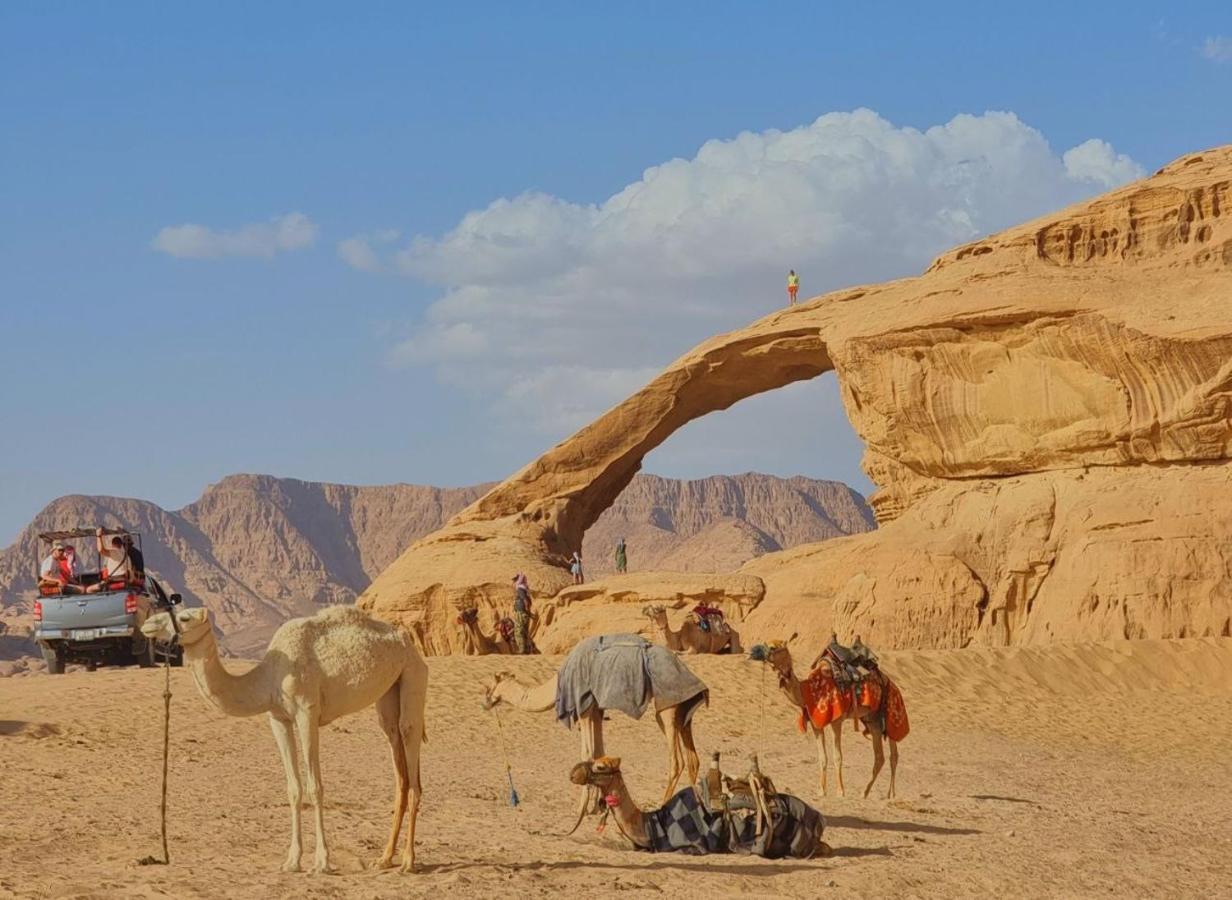 Wadi Rum Desert Camp Zewnętrze zdjęcie