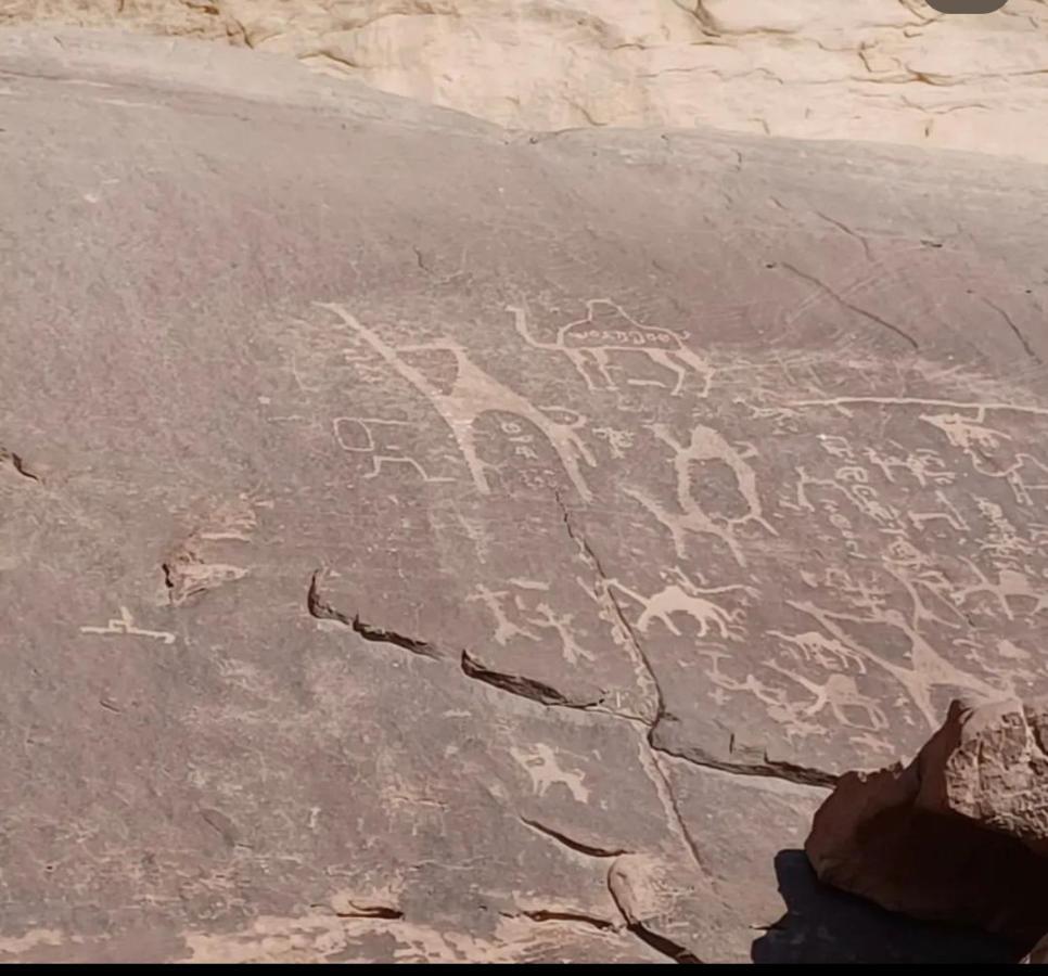 Wadi Rum Desert Camp Zewnętrze zdjęcie