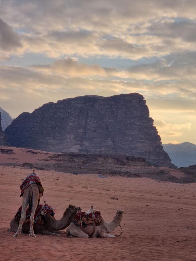 Wadi Rum Desert Camp Zewnętrze zdjęcie