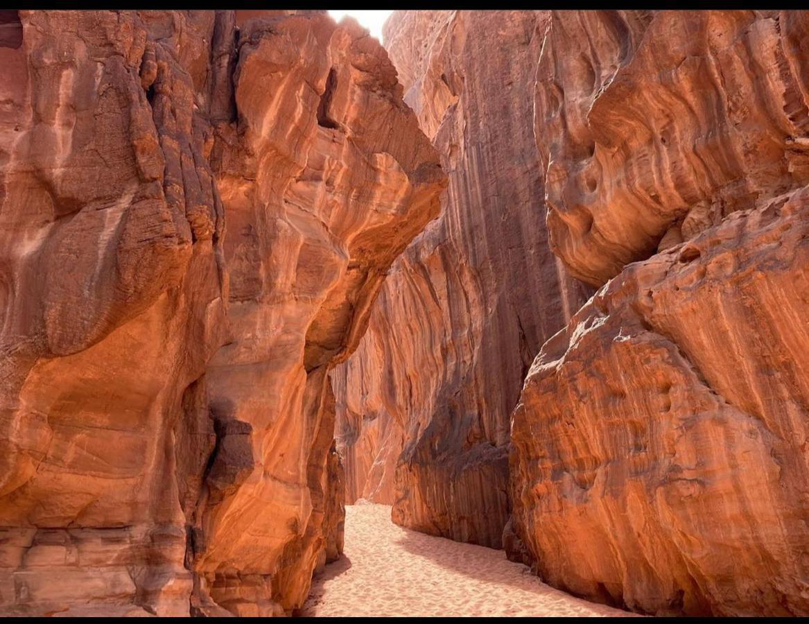 Wadi Rum Desert Camp Zewnętrze zdjęcie